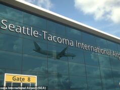 A China exorta os seus cidadãos a evitarem aeroportos em cidades famosas dos EUA, depois de o ICE ter “assediado” repetidamente os seus académicos