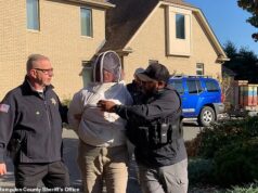 Foto de prisão ridícula de mulher condenada por enxame de ABELHAS irritada com os xerifes por impedirem despejos de prédios