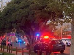 Um morto e outro gravemente ferido depois que um carro atropelou um grupo de fãs do lado de fora de um popular evento da Comic Con em Melbourne.