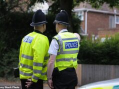 Uma mulher foi presa sob suspeita de desperdiçar tempo da polícia em uma denúncia de estupro viral no Facebook