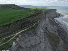 Apelo urgente para evitar que a linha ferroviária no topo do penhasco – ligação ‘vital’ para a indústria – afunde 300 pés no Mar do Norte