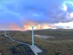 O proprietário de um parque eólico nas Shetland recebe £ 10 milhões por ano para desligar as turbinas durante ventos tempestuosos – enquanto as pessoas que vivem na sua sombra desembolsam as contas de energia mais altas da Grã-Bretanha