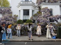 A histeria das glicínias traz miséria ao oeste de Londres: proprietários de mansões milionárias reclamam de influenciadores chegando em microônibus, erguendo barracas de troca pop-up e vandalizando suas fábricas