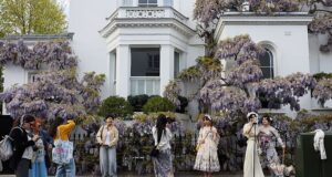 A histeria das glicínias traz miséria ao oeste de Londres: proprietários de mansões milionárias reclamam de influenciadores chegando em microônibus, erguendo barracas de troca pop-up e vandalizando suas fábricas