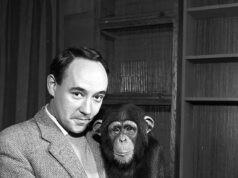 O zoólogo e apresentador de TV Desmond Morris morre aos 98 anos: homenagens à estrela de ‘exploração, curiosidade e criatividade ao longo da vida’