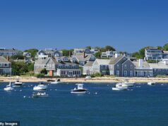 Nantucket em batalha por dormitórios para trabalhadores essenciais … Um rottweiler local afirma que um lagarto rastejou para fora do prédio e mordeu seu tornozelo