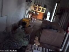 Dentro do contêiner onde a dupla assassina de policiais Daisy Freeman passou seus últimos dias