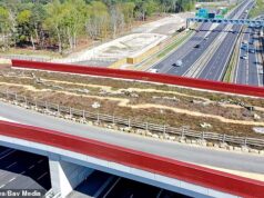 ‘Ponte verde’ de £ 3,7 milhões para ajudar cobras e sapos a cruzar estradas movimentadas em charnecas