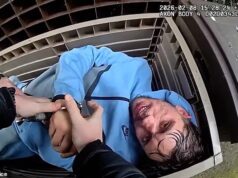 Um garoto inesperado bate o carro e tenta escapar da polícia a pé… antes de ser encontrado escondido em uma caixa de jardim