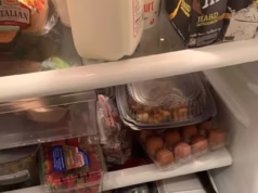 A imagem perturbadora de um gato escondido na geladeira confunde as pessoas – você consegue encontrar o gato em 30 segundos?