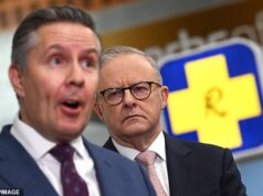 A horrível verdade por trás do NDIS – e como o governo albanês precisa corrigi-lo antes que seja tarde demais: Peter van Onselen