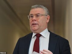 Os cancelamentos de voos para a Austrália ‘não podem ser desfeitos’, já que Albanese alerta o governo sobre a crise