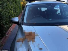 A vila de Kirawi, no sul, é assombrada por um misterioso ‘desmancha-prazeres em série’ que sopra dejetos humanos de uma varanda alta