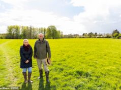 A visão do rei Charles de prados de flores silvestres ao redor de Highgrove está ameaçada pelos planos de construção de 135 novas casas