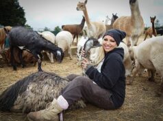 Doze macacos: a ex-modelo glamorosa Jodie Marsh deu luz verde para ter um exército de saguis em sua fazenda