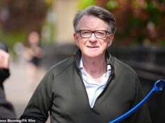 Serviço Civil anuncia 10 novos oficiais de autorização de verificação após o escândalo de Peter Mandelson ‘É um momento emocionante para ingressar no UKSV’