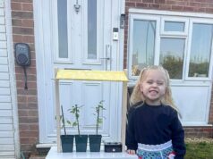 Festa de aniversário de menina de quatro anos arruinada depois que jovens vestidos com balaclava vandalizaram sua barraca de ovos