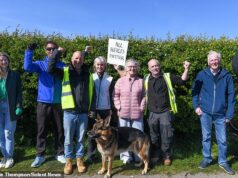 Aposentados protestam em defesa de uma cerca viva ameaçada em um parque de lazer de nove acres – e veem empreiteiros contratados para derrubá-la