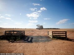 Pergunte aos habitantes locais: ‘Quem você acha que matou Richard Wills?’ Todos dizem que só uma pessoa pode ficar tão triste. Wayne Flower investiga o horrível assassinato de um fazendeiro inocente cuja pequena cidade é assombrada pelo medo.