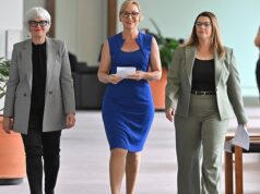 A resposta dos Verdes ao NDIS está finalmente a dar frutos? O fogão é um lixo – até mesmo para os padrões deles. Se você acredita na utopia dos brindes, terá um grande choque: Peter van Onselen