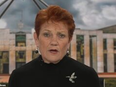 A líder de uma nação, Pauline Hanson, detalhou a campanha eleitoral dos Verdes antes das principais eleições parciais