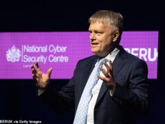 Pare de usar senhas online, diz GCHQ: Nova chave de acesso ‘remove toda uma classe de ataques’ de hackers