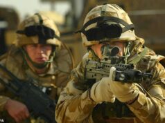 Bob Seeley: Nossos heróis estão furiosos com a caça de abutres legais para servir à Grã-Bretanha