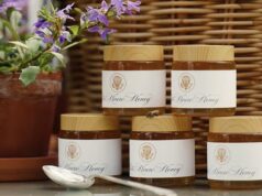 Melania adoça terreno da Casa Branca com duas novas colônias de abelhas… Uma reviravolta saborosa