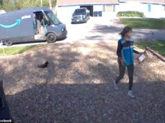 O querido gato malhado da família teve um fim terrível depois de ser sequestrado por uma motorista da Amazon