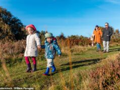 Nova pesquisa revela que mais de um décimo dos pais não tem apoio