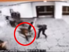 ‘A bala que atingiu o agente do Serviço Secreto no jantar dos correspondentes na Casa Branca’ foi desviada pelo seu telefone’