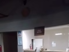 O momento em que um crocodilo gigante entrou num hotel de luxo e pulou no balcão da cozinha no Zimbábue