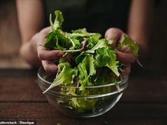 Os britânicos enfrentam custos crescentes do SALAD à medida que a crise da ‘Trumpflação’ empurra o petróleo de volta acima de US$ 108 o barril