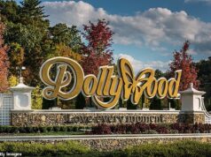 Três águias desaparecem de Dollywood após a tempestade