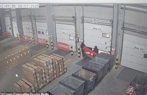 A gangue mascarada do momento roubou motocicletas no valor de £ 140.000 do armazém depois que a polícia suspeita que um funcionário deixou a porta da veneziana aberta