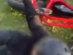 Um adolescente em um momento selvagem foi supostamente atirado com uma garrafa de água durante um ataque de raiva no trânsito por um ciclista de bicicleta elétrica