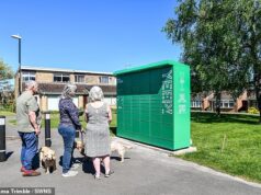 Armários de pacotes verdes brilhantes ‘tocam’ em um beco sem saída tranquilo, removidos menos de um mês após a ‘indignação’ dos residentes