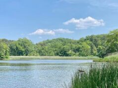 Moradores furiosos reagiram aos planos de transformar seu sereno ‘playground privado’ à beira-rio em um estacionamento gigante