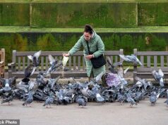A alimentação de pássaros, o pastoreio de amoras e a colheita de pedras foram proibidos pela prefeitura em meio a alegações de “abuso” de poderes de vassouras.