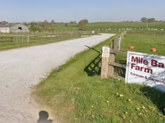 Menina, 13 anos, homem, 48, preso por ‘direção perigosa’ após bater no carro de um aposentado em um parque de caravanas