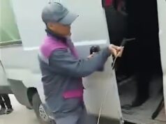 Imagens comoventes mostram cães sendo apreendidos por ‘genocídio’ em Marrocos antes da Copa do Mundo – onde ‘milhões de pessoas serão massacradas’