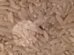 Uma mulher que comprou arroz na Amazon ficou chocada ao encontrar algo ‘vacilante’ dentro do pacote