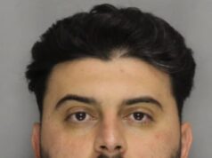 Um revendedor de automóveis de Atlanta usou o mesmo esquema do pai da heroína fictícia Matilda para tornar seus veículos usados mais atraentes para os compradores, disseram os promotores.