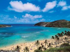 Mulher da Bay Area, 66 anos, morre enquanto praticava mergulho com snorkel em viagem para Paradise Island, Havaí