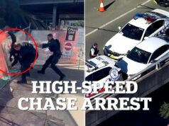 Momento dramático A polícia do Strike Force Raptor derruba um suspeito na beira de uma rodovia movimentada após uma caótica perseguição de carro