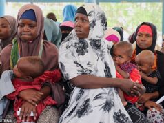 EUA dizem que oferta de trégua ao Irã é ‘melhor do que esperávamos’ enquanto Putin oferece apoio a Teerã – ATUALIZAÇÕES AO VIVO