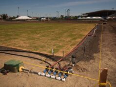 O críquete está retornando às Olimpíadas após 128 anos. Mas muitos esperam que o jogo acabe quebrando a América