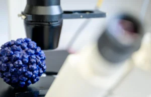 Um medicamento já em testes pode finalmente parar a hepatite E