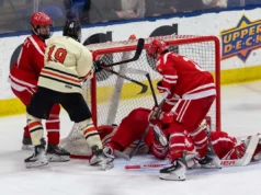 Time dos sonhos de hóquei masculino de Michigan