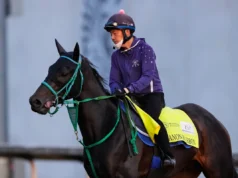 As corridas de cavalos estão em alta no Japão. Um vencedor do Kentucky Derby pode ser o próximo